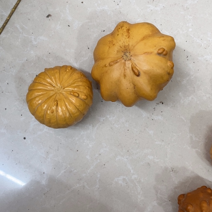 小***筑墨西哥葫芦……………………..