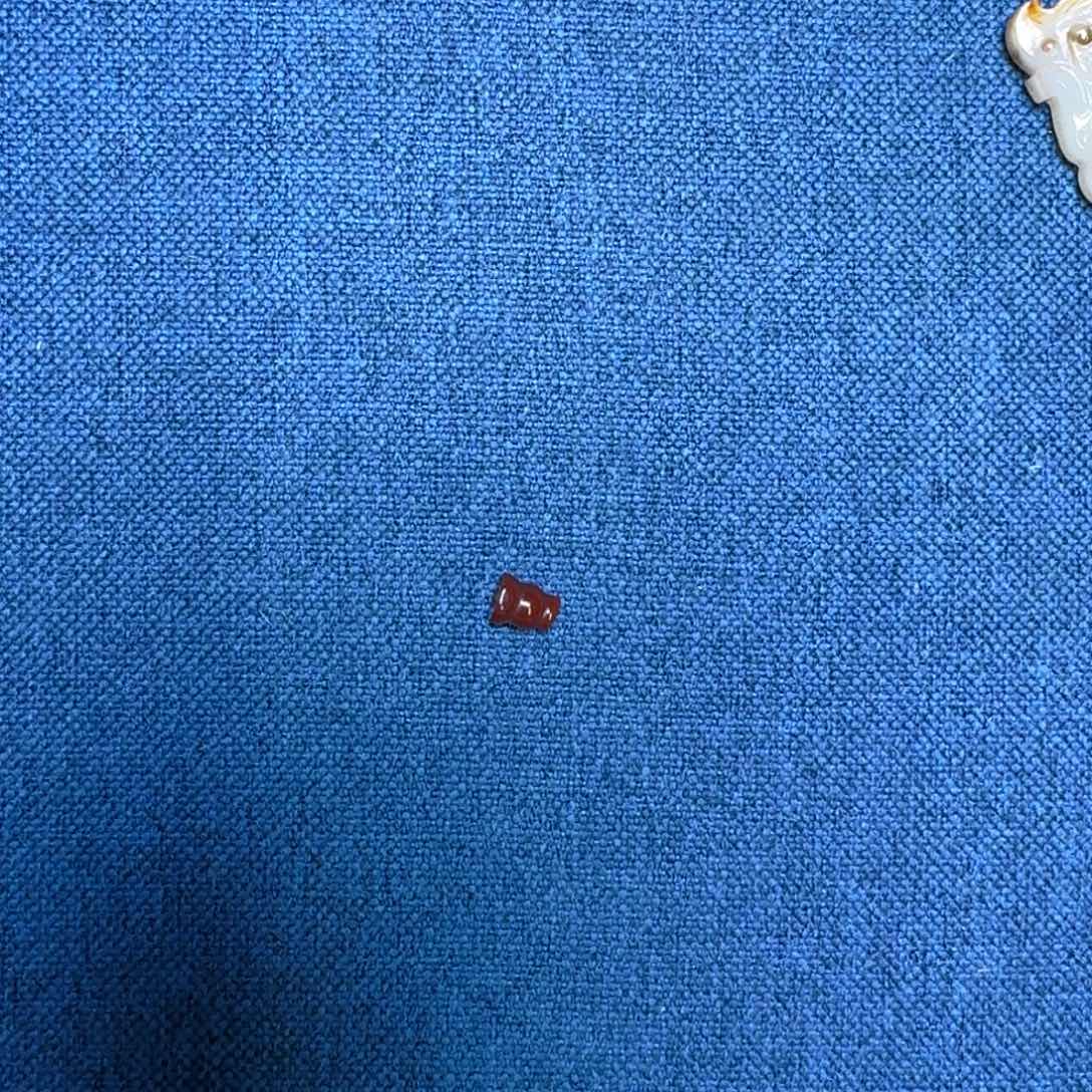 玛瑙/玉髓颈饰未镶嵌龙**子