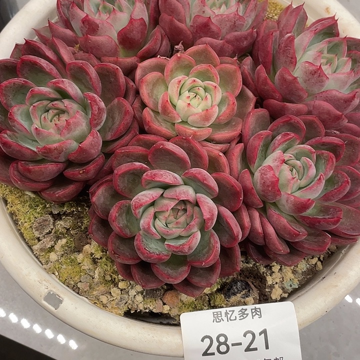 1***6你在干嘛呢我在外面等