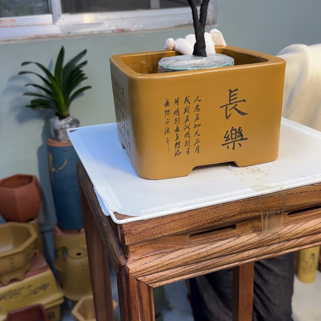 紫砂花盆紫砂口径20