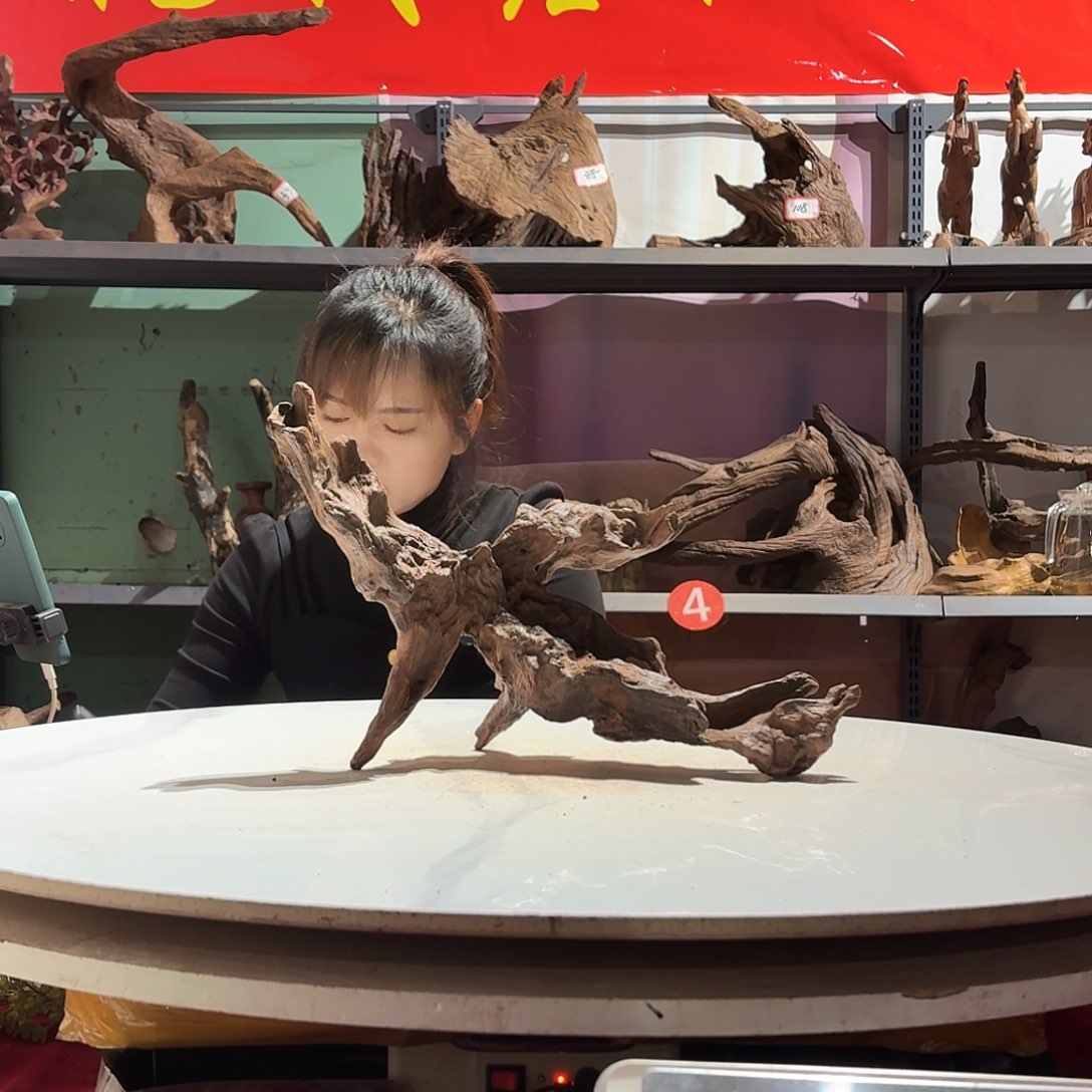 紫砂紫柚沉木不包损必黄水蓝*条6248……