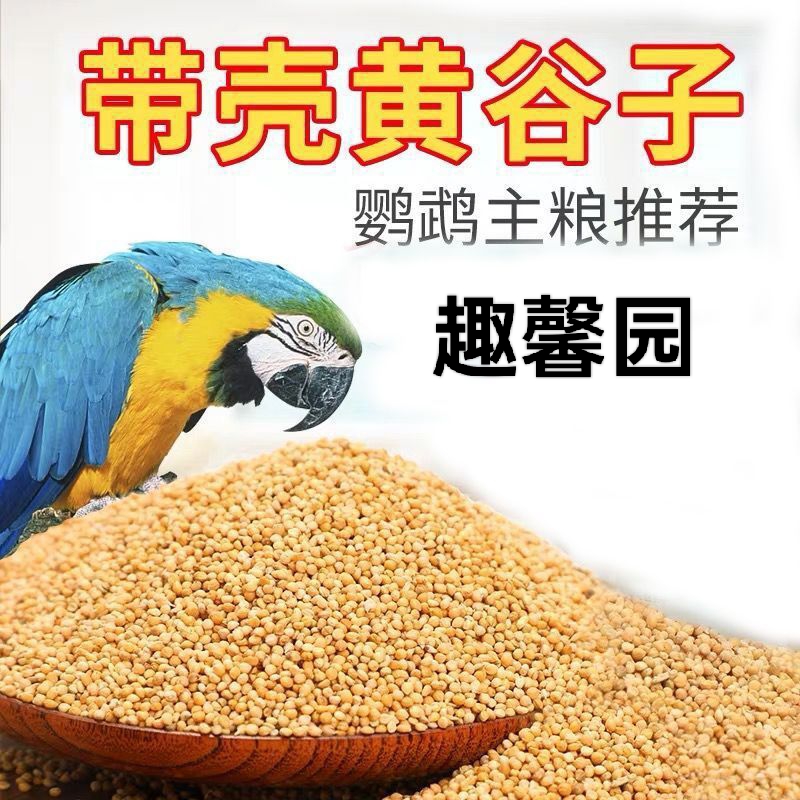 趣鹦园新鲜带壳黄谷子鹦鹉饲料鸟食虎皮牡丹玄凤带壳鸟粮