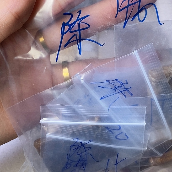 硅化玉颈饰合金陈***）