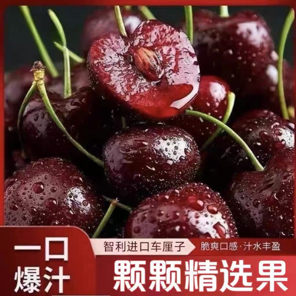 【今天拍明天到】智利空运桑提娜3-4JD车厘子顺丰京东包邮2500g内附果径卡桑提娜樱桃智利共和国