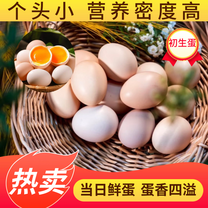 正宗林下散养 初生蛋10枚装 直播专享价