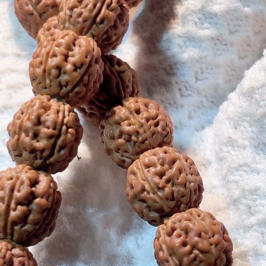 旺***望印度尼西亚小金刚盘龙10加手持