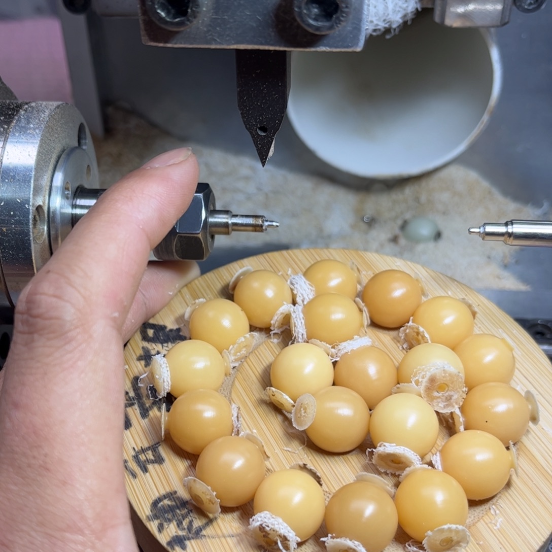 寻****菩提根/象牙果手串