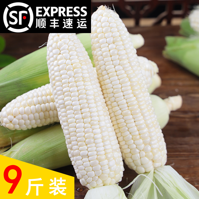 广西新鲜白糯玉米9斤装鸡腿白糯玉米现摘现发广西壮族自治区