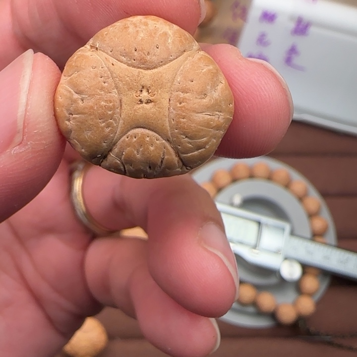 T***T吊坠凤眼菩提，麒麟打孔不退不换