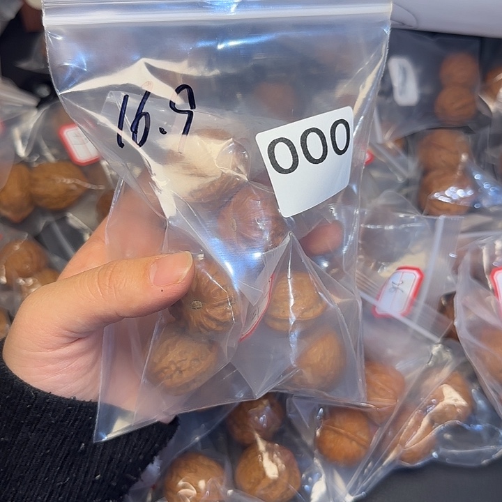 文玩小尺寸00000哈哈哈哈哈