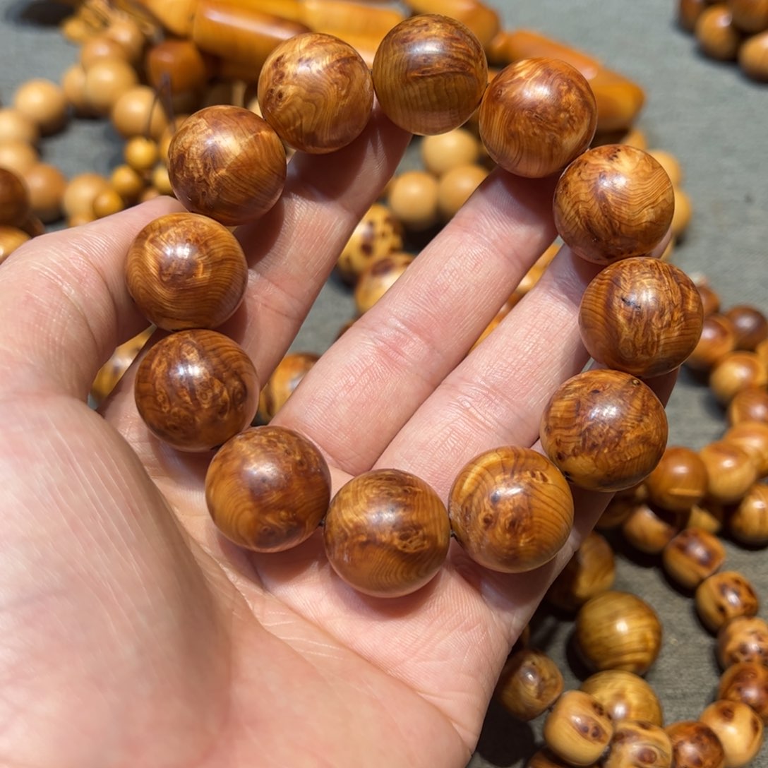 太行崖柏陈化太行