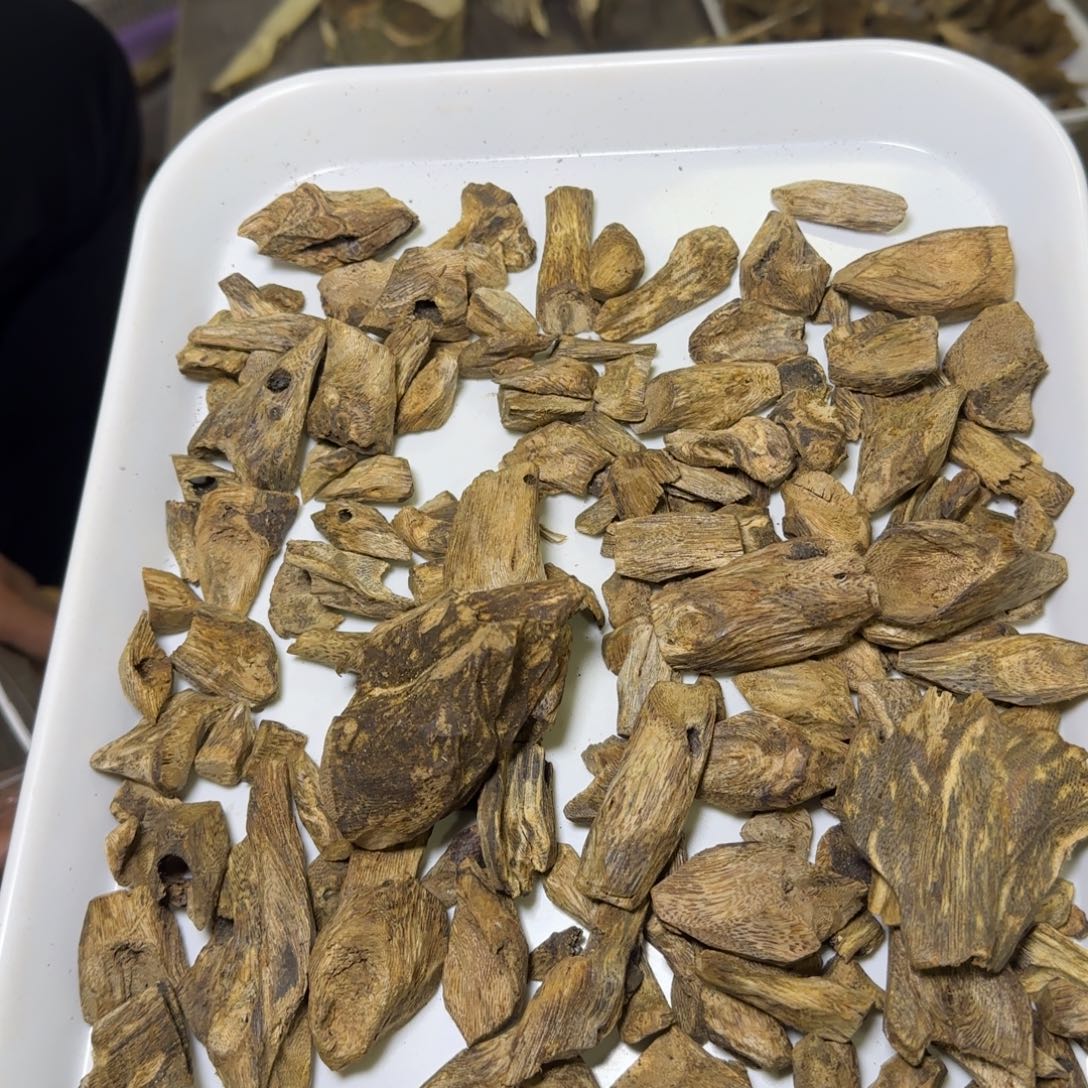 沉香树丁熏香碎料发一份