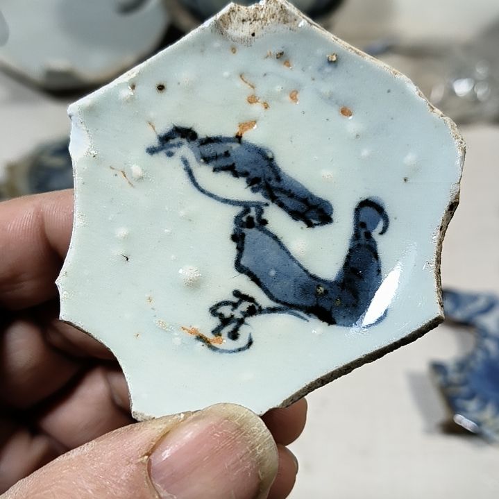 瓷片瓷片瓷片瓷片瓷片