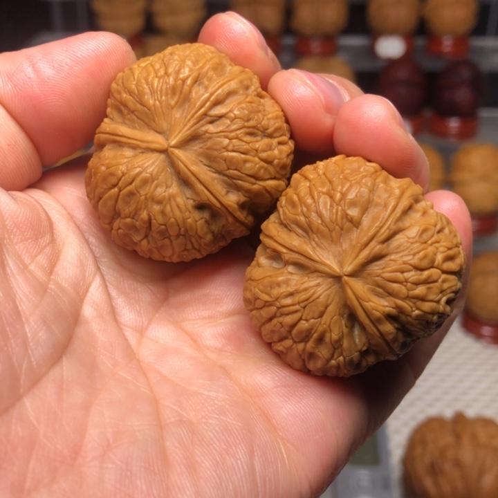 文玩核桃把件12状元红三棱