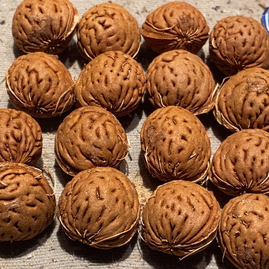 秦***月桃核吊坠卡17的20颗