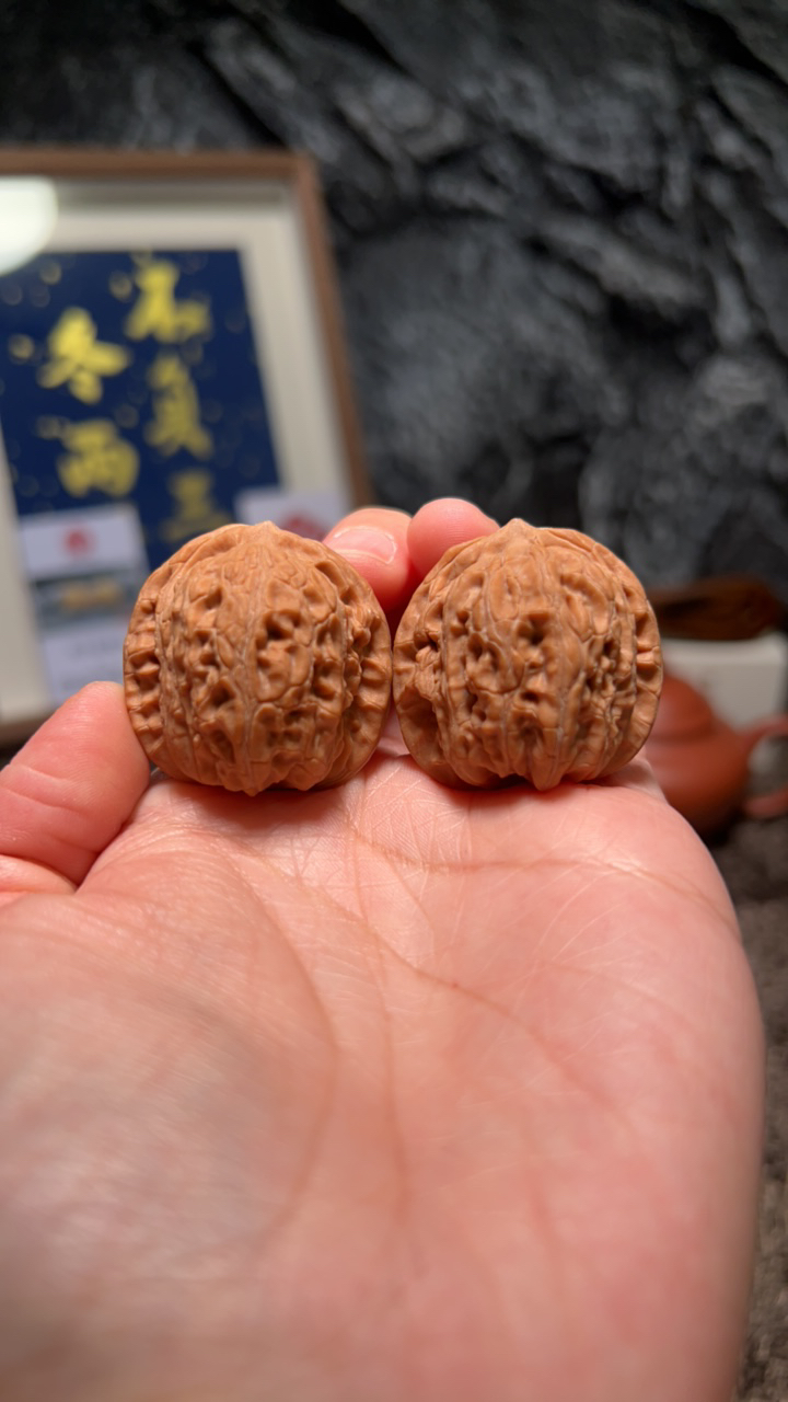 文玩核桃 原树龙胆元宝3630号33尺寸