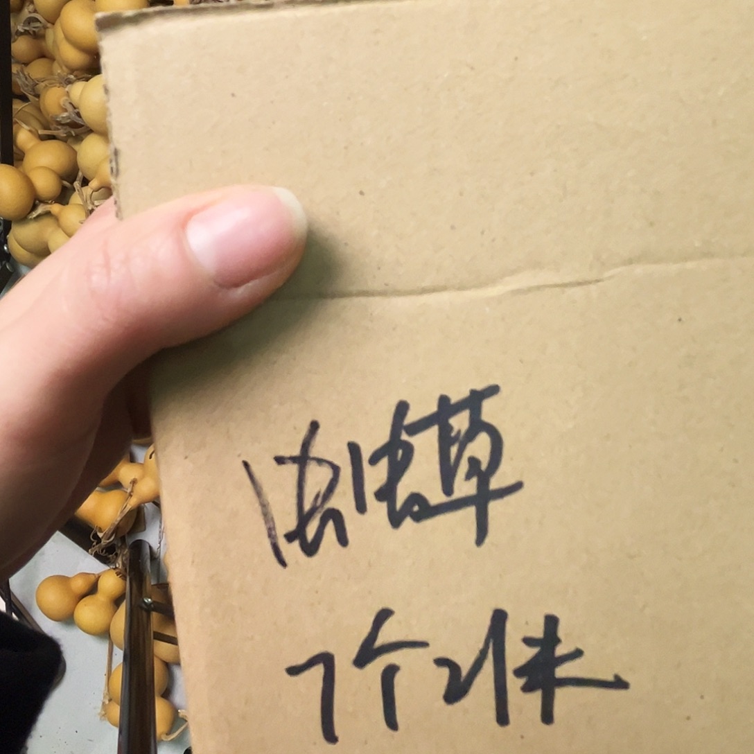 虫***草天然小葫芦小葫芦七个