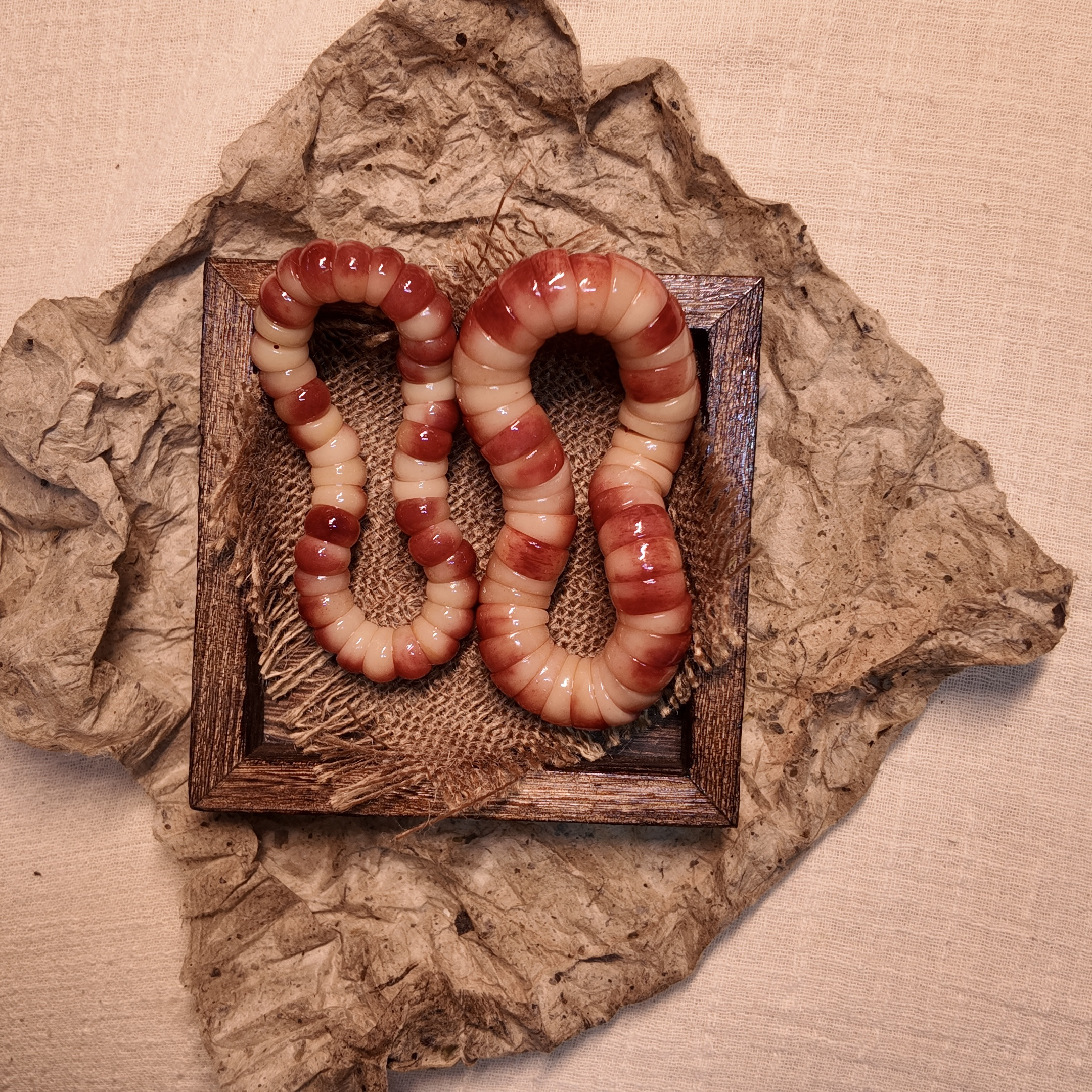 粉驼大肠骆驼骨解压款可单带