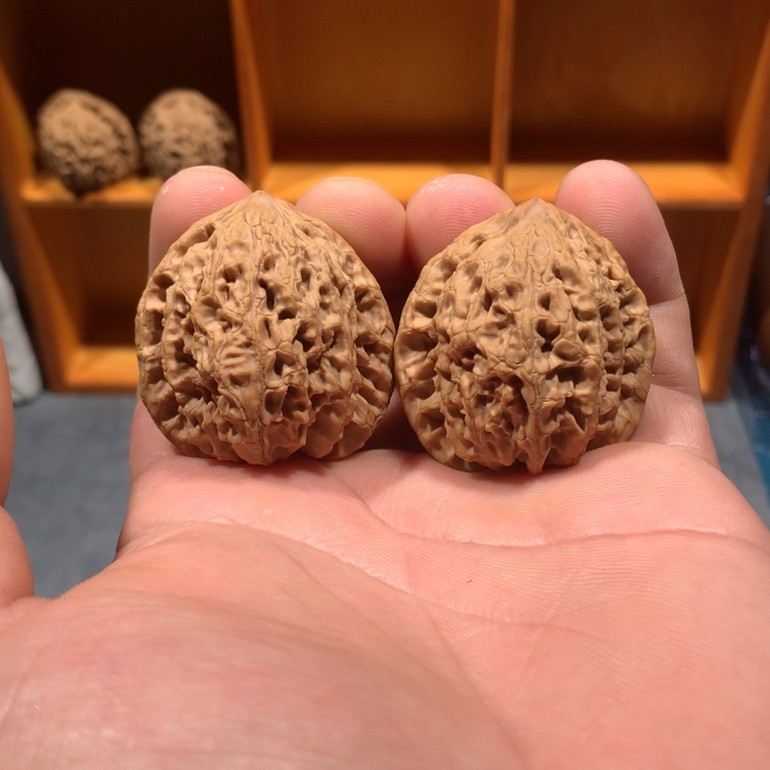 38尺延庆虎头王全品