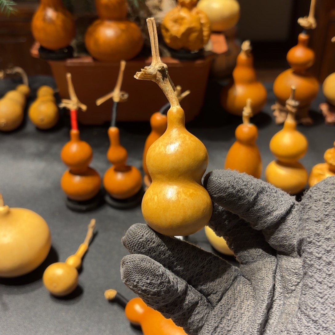 笑***3葫芦88888888888888888