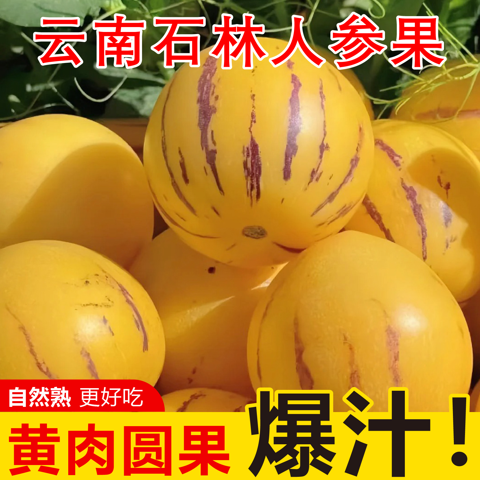 人参果云南石林现摘现发黄肉圆果清甜多汁当季水果