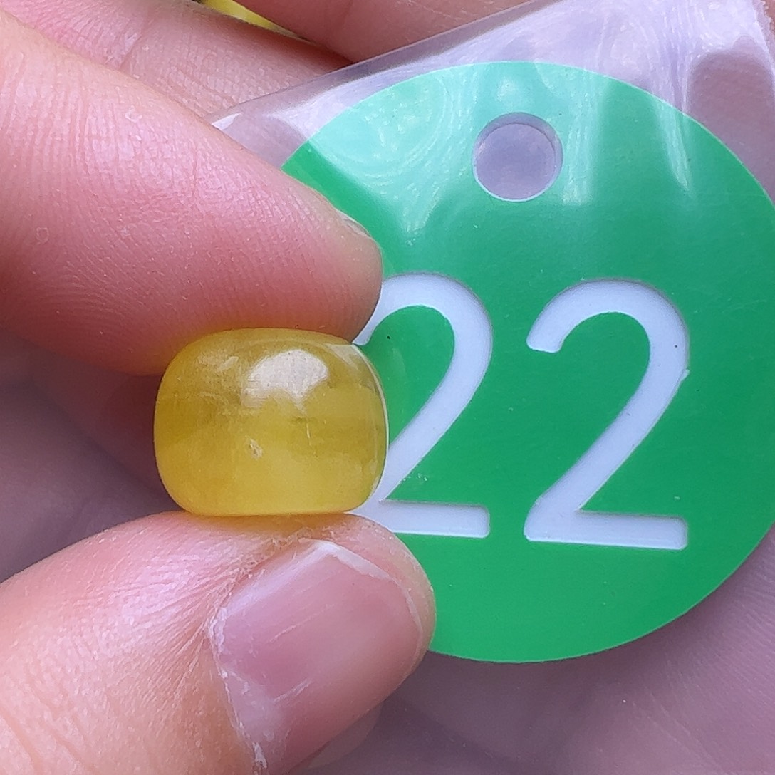 蜜蜡未镶嵌珠宝奇石11.8mm金沙