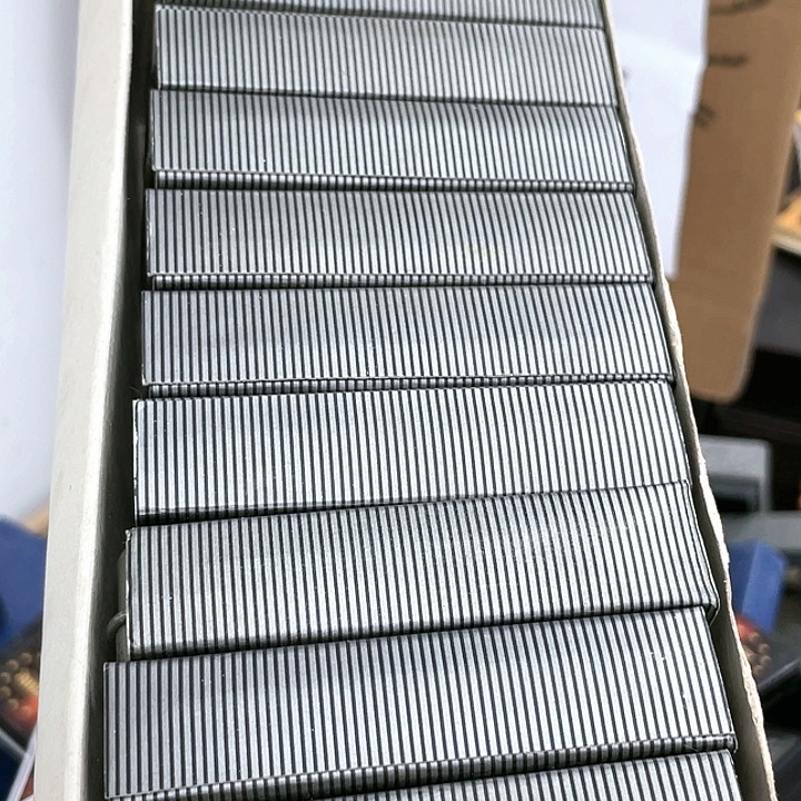 【闪购商品】恒星福利动物随机