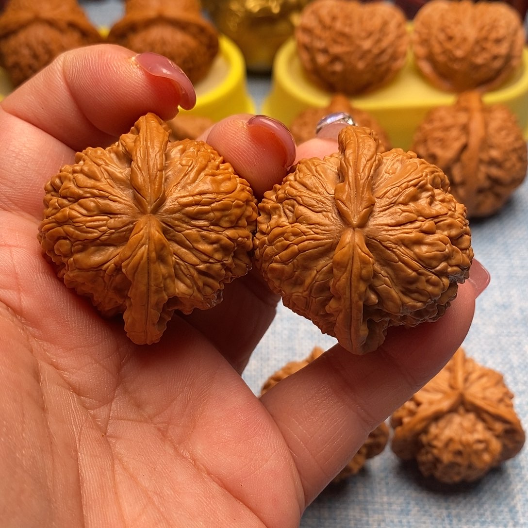 文玩核桃把件毕业白狮子41尺全品