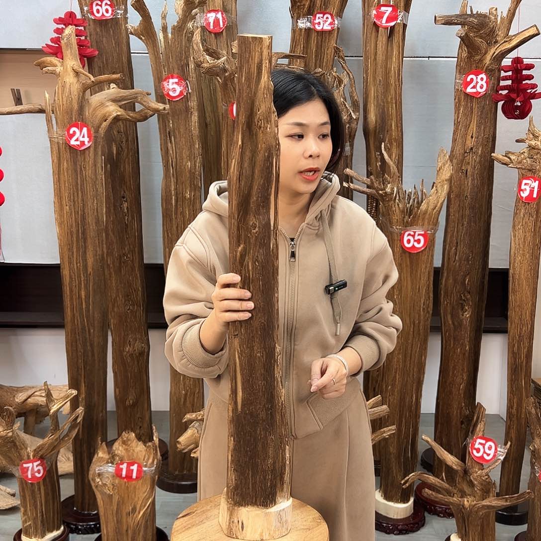 沉香摆件沉香摆件