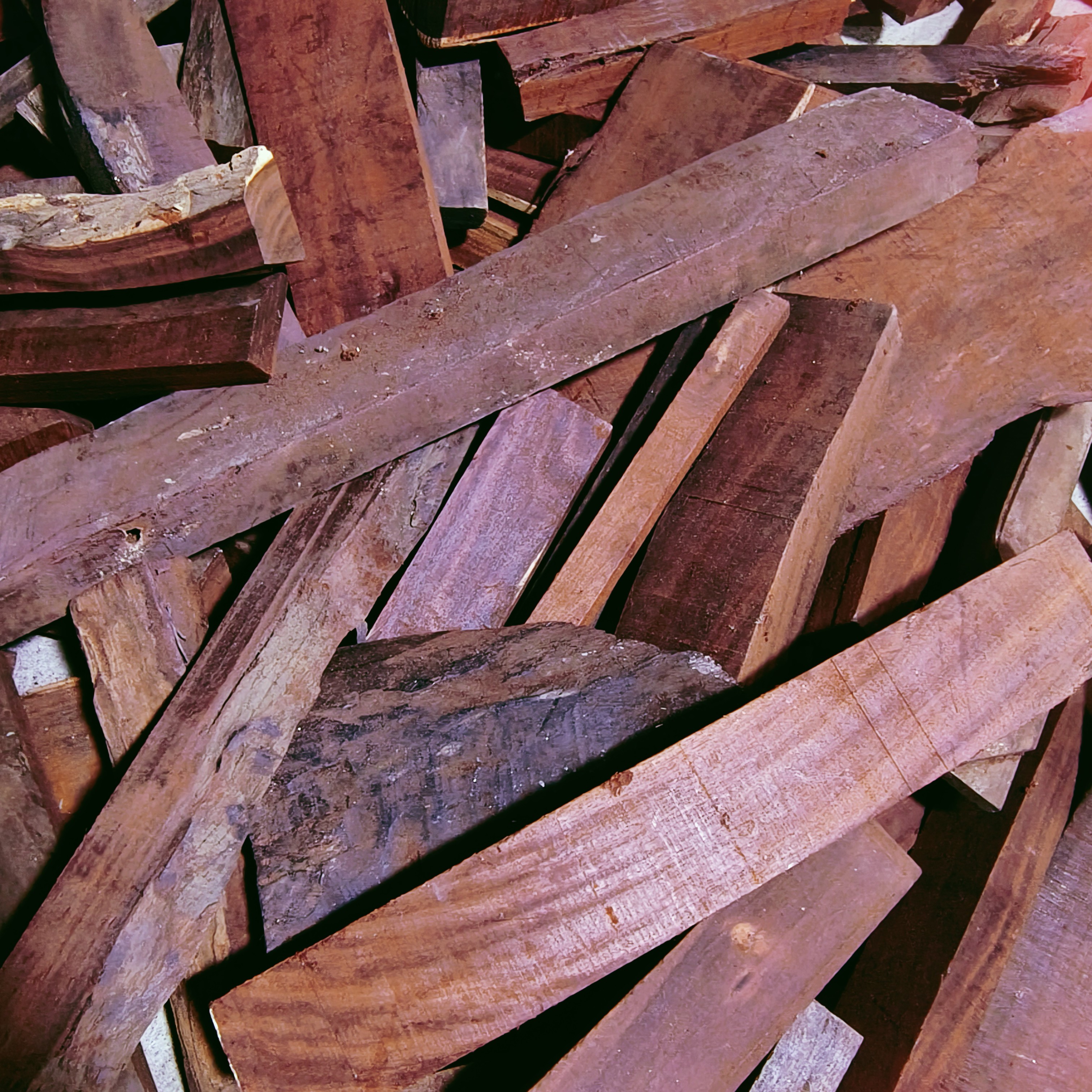 各种名木专拍边角料