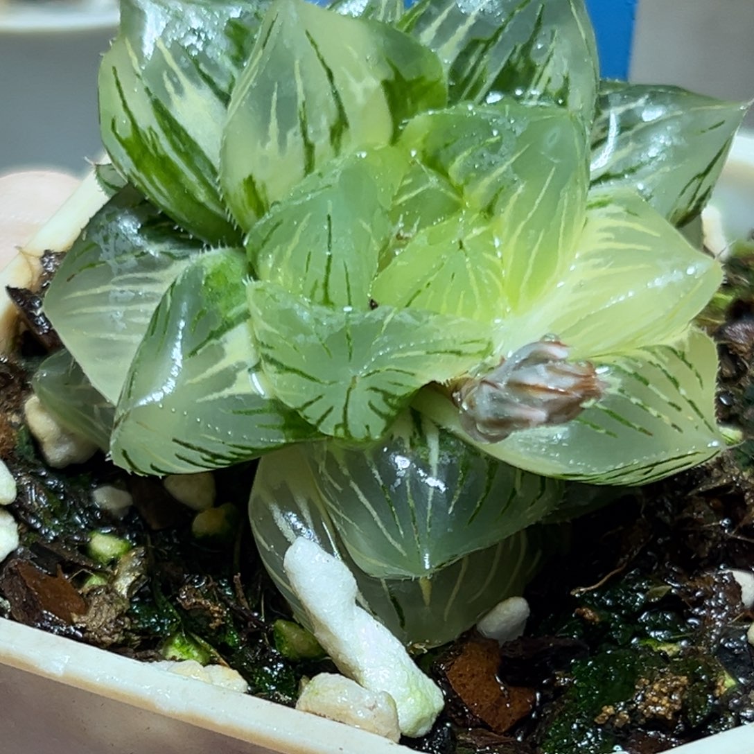 恭喜发财大吉大利0219