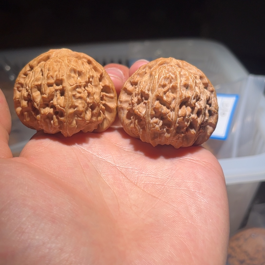 文玩核桃吊坠018白狮子43