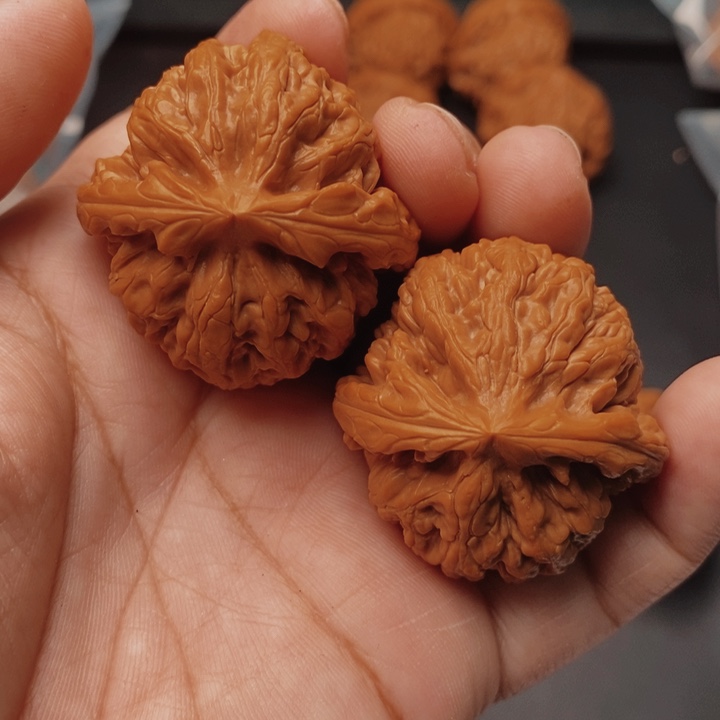 核桃红锦鲤39尺核桃