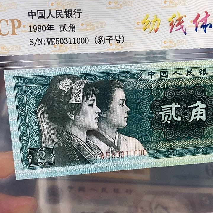 幼线体50311000，，，，，，，