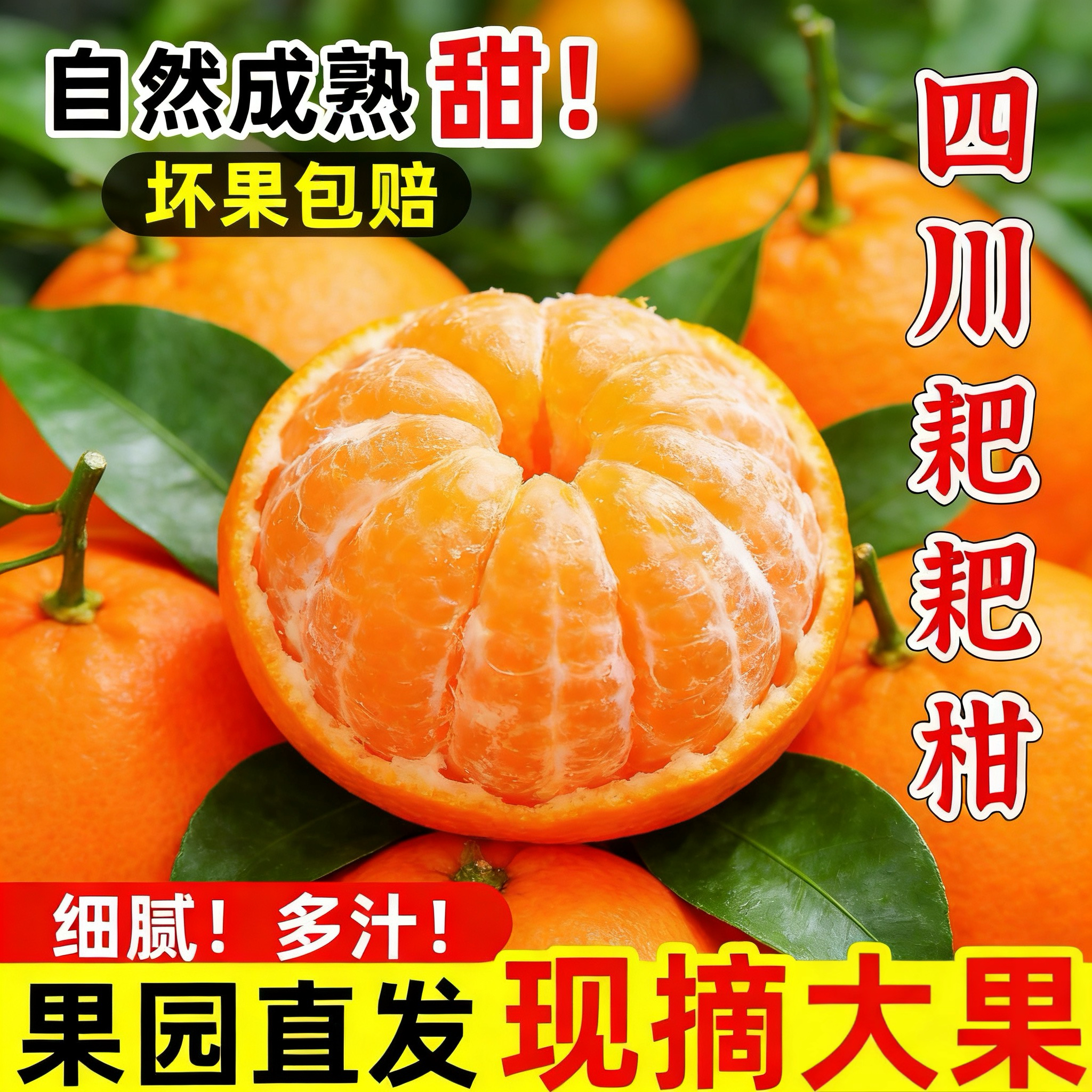 四川正宗春见耙耙柑带叶新鲜多汁手剥应季水果自然成熟果园直发