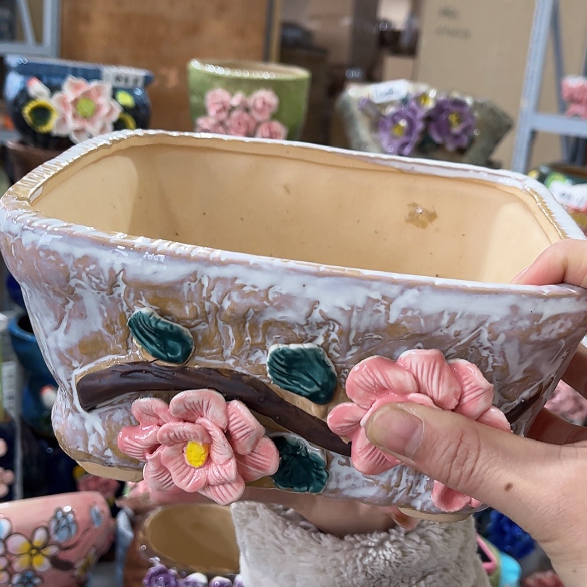 【闪购商品】红陶福利