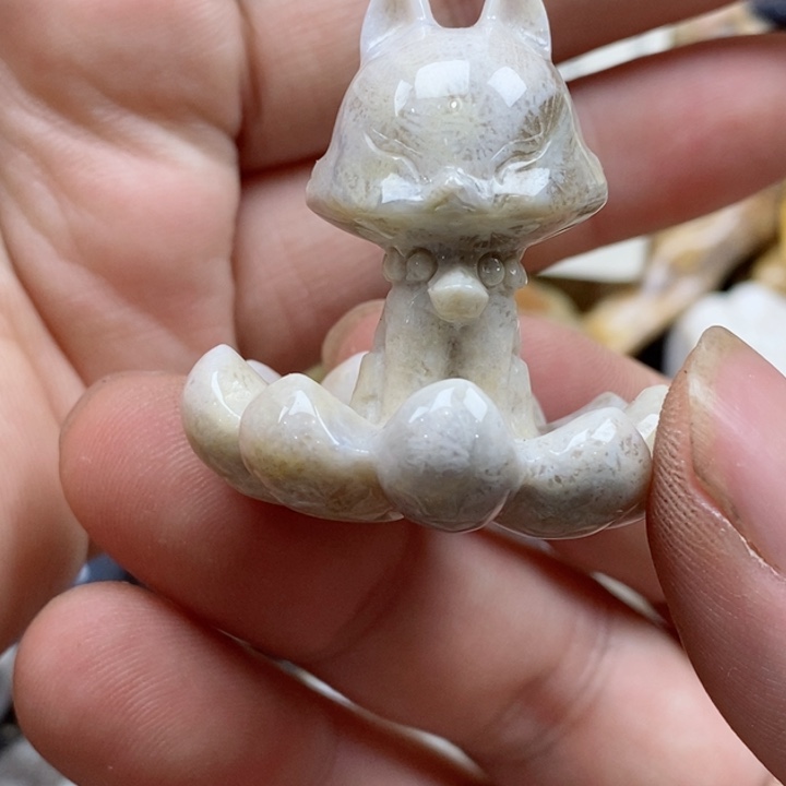 颈饰未镶嵌硅化珊瑚（珊瑚玉）