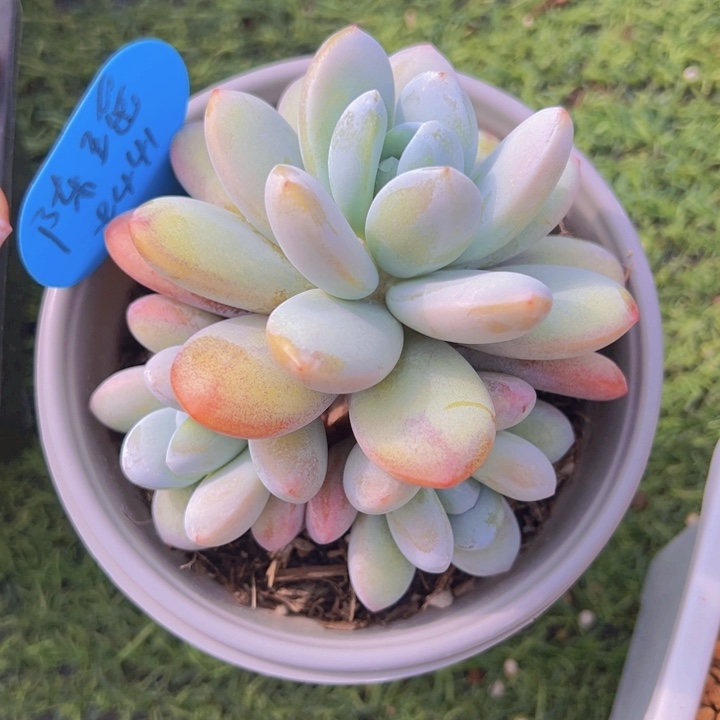 健健康康平平安安