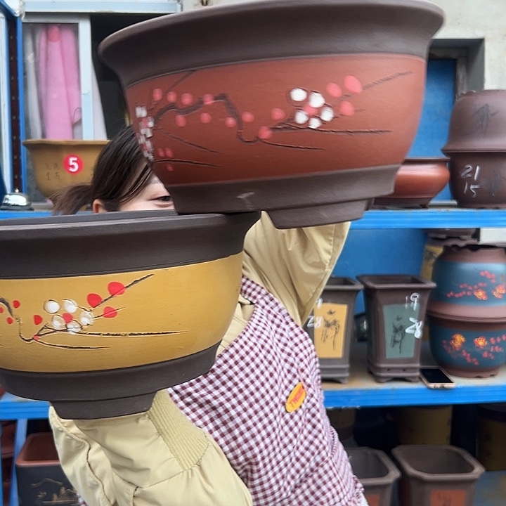 黄富贵点菜大和红富贵点菜大花盆花盆花盆