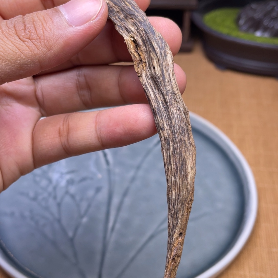 香榧木3.9克海南老树心