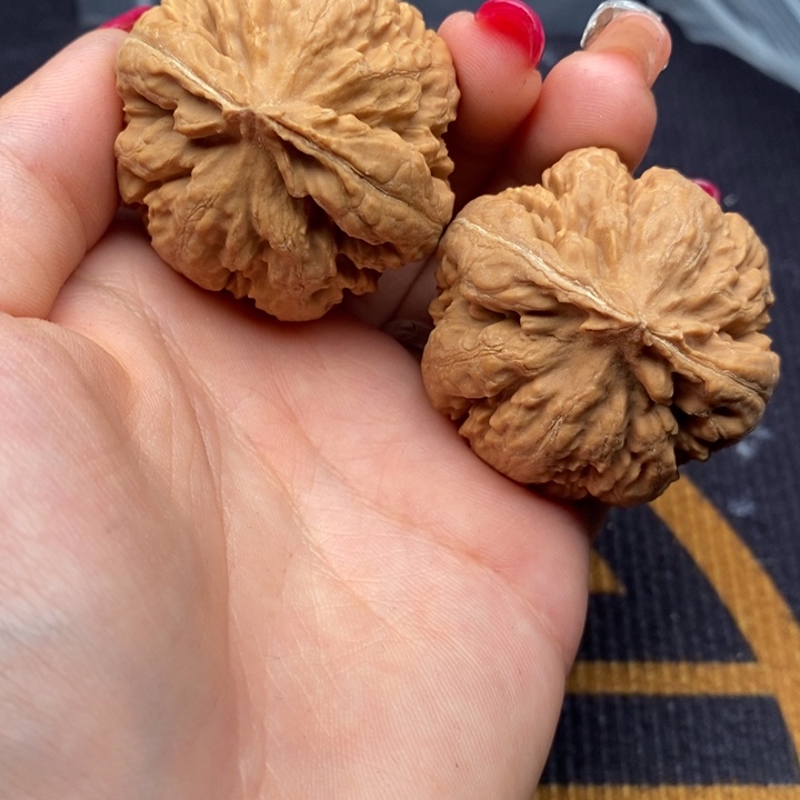 海***拍文玩核桃把件霸王龙