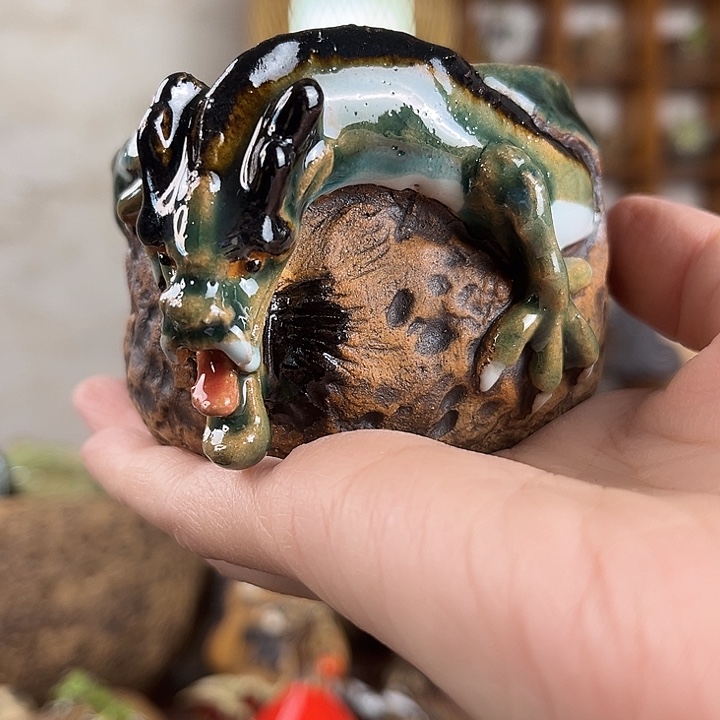 我***帅龙杯1155555555666666666666