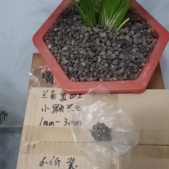 天***空兰菌黑山土小颗粒6.6斤