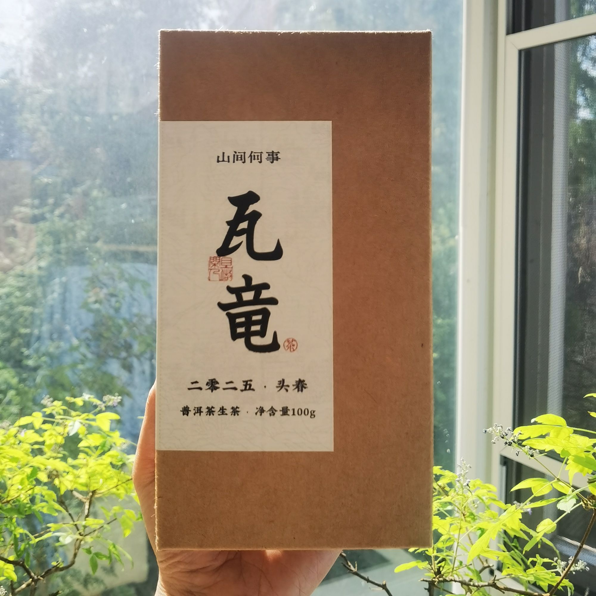 蛮砖瓦竜剑叶乔木头春 2025年瓦竜普洱生茶散茶（无茶样） 
