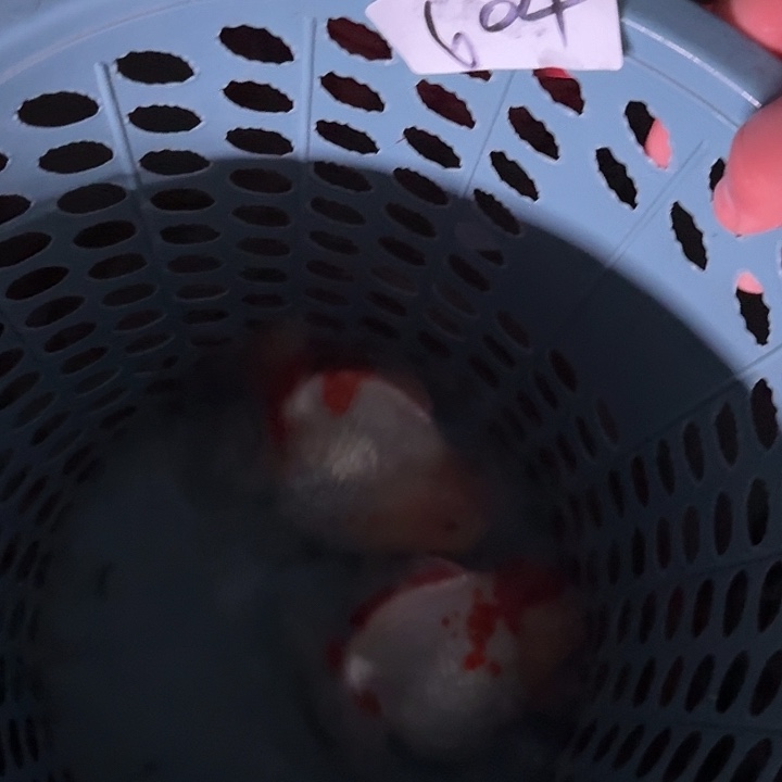 604包邮到家嘿嘿嘿嘿嘿嘿嘿嘿