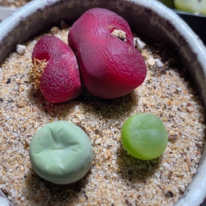 15248一组一组一组