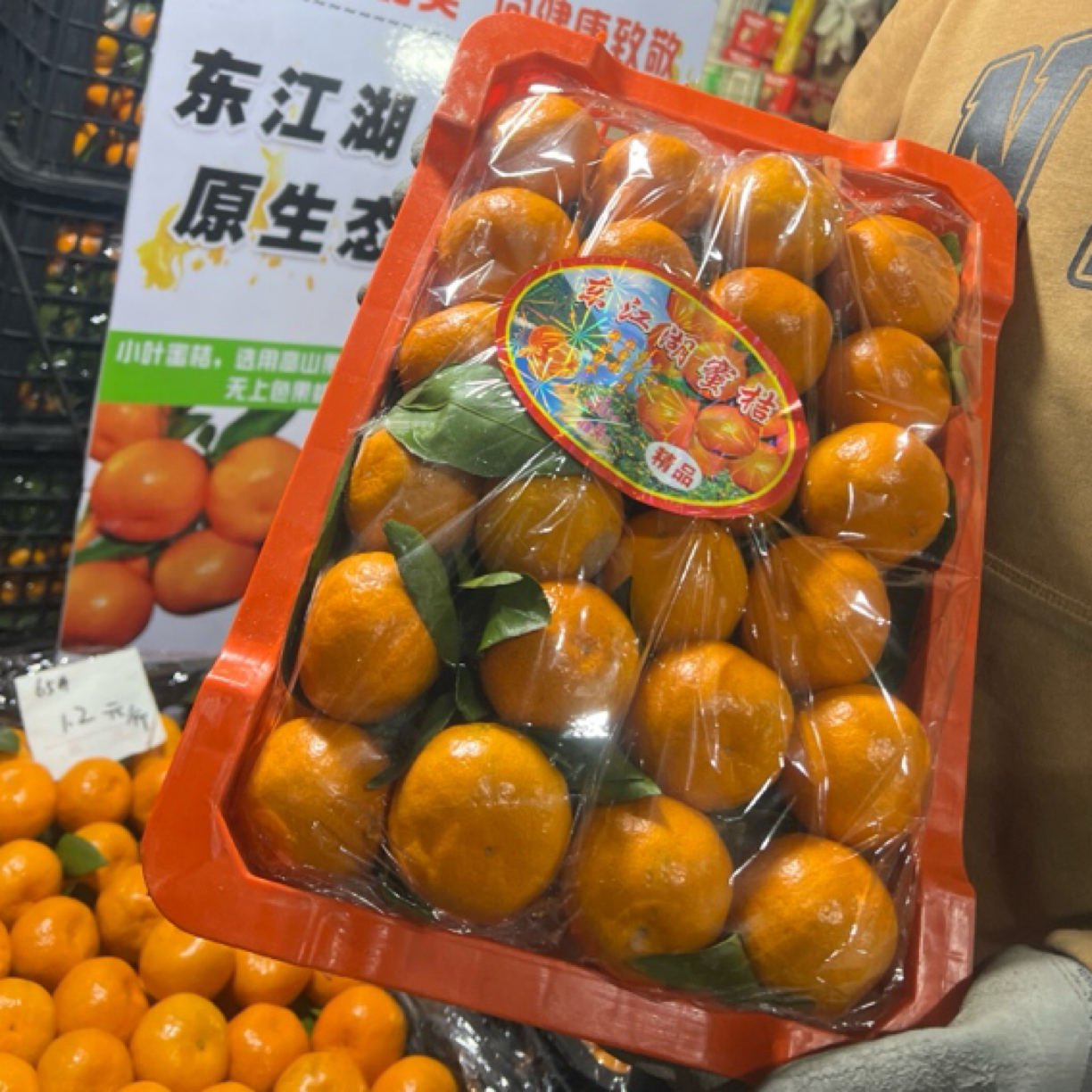 新鲜当季水果东江湖蜜橘纯甜现摘湖南省