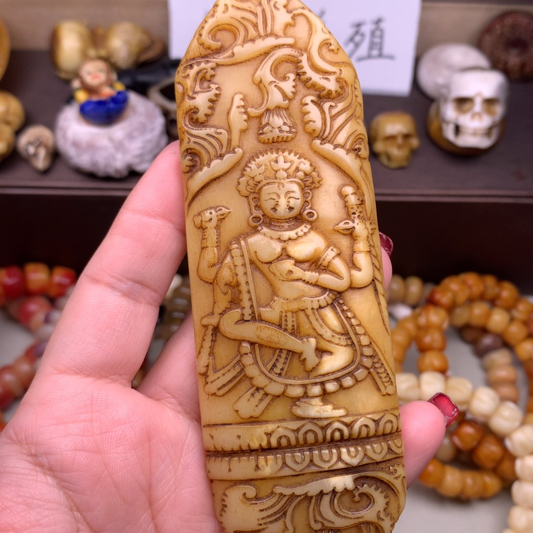 驼骨其他好看驼骨