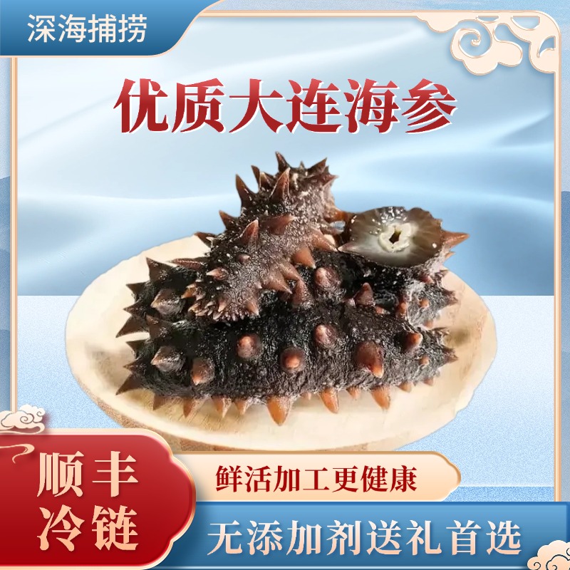 【渤兴岛】口感Q弹国产鲜食刺参开袋即食海参蒸制大连深海辽刺参