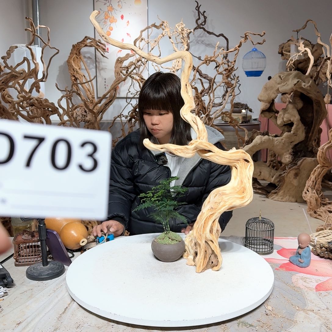 风车木（黑檀木）大****)